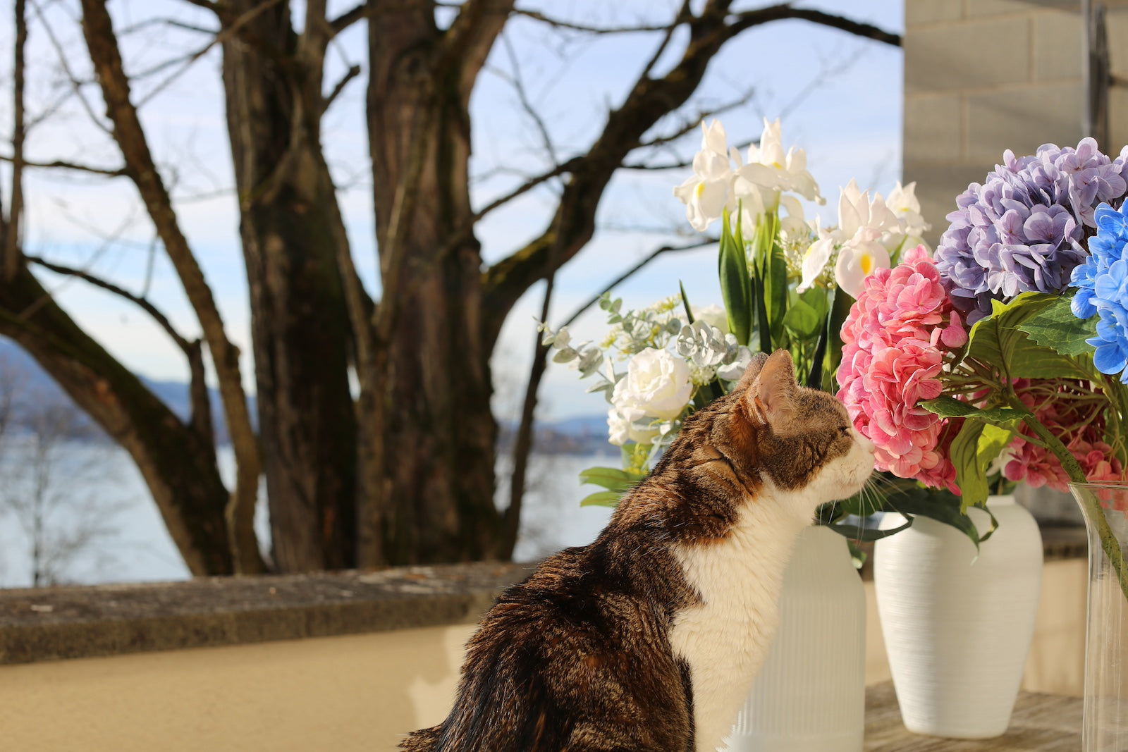 The Benefits of Artificial Flowers for Allergy Sufferers and Pet Owners