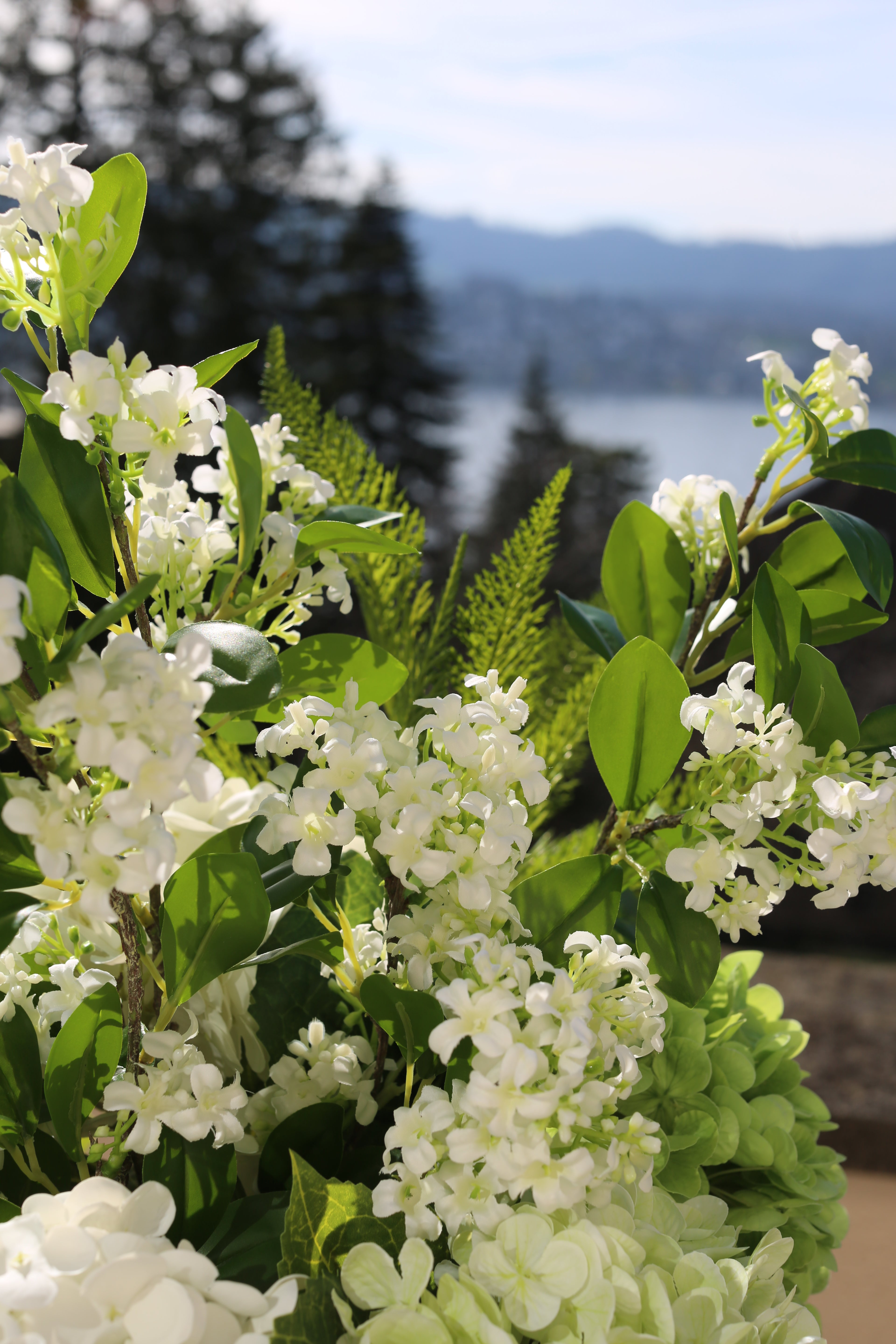 Jardin secret vert