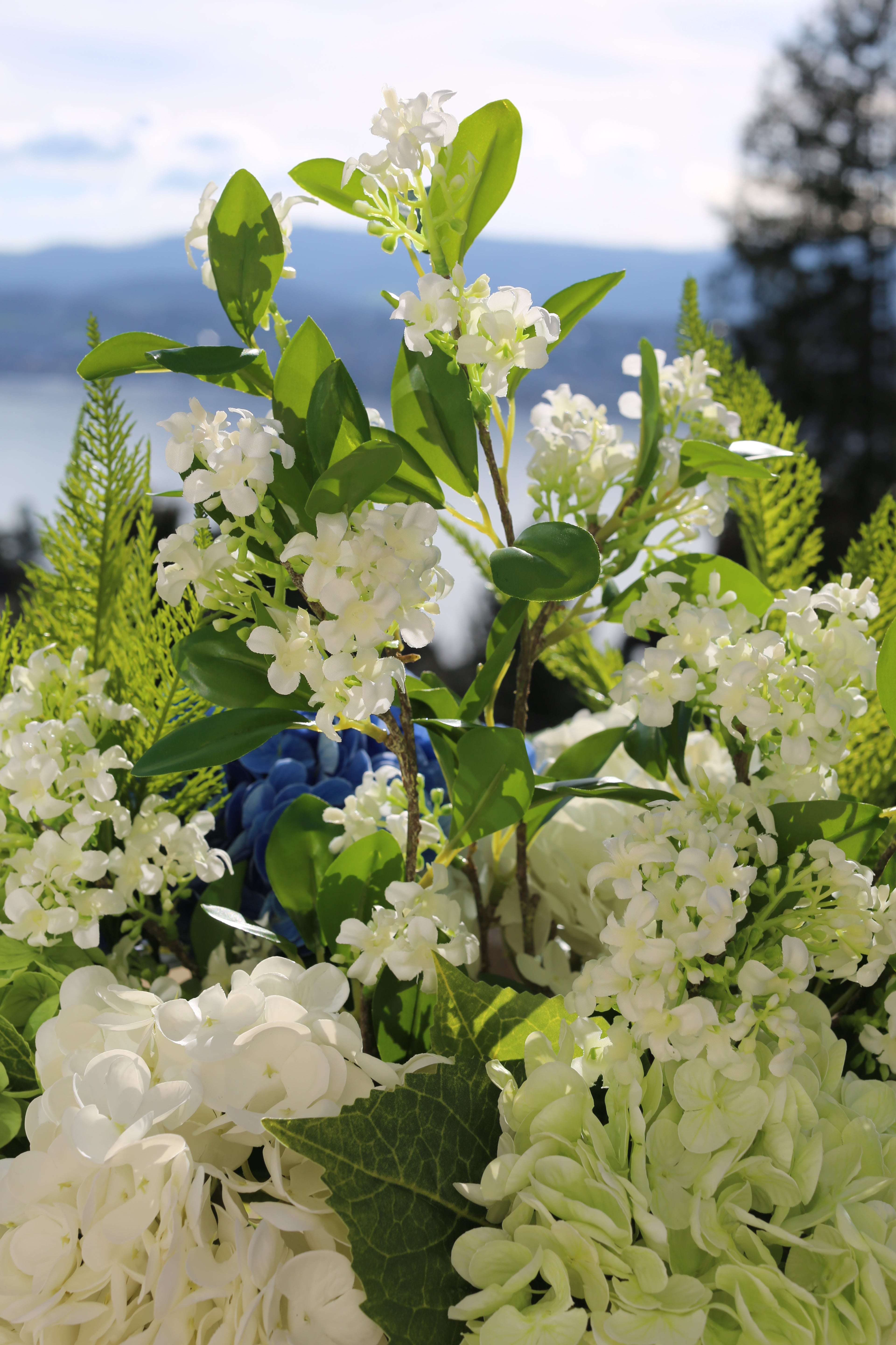 Jardin Secret Bleu