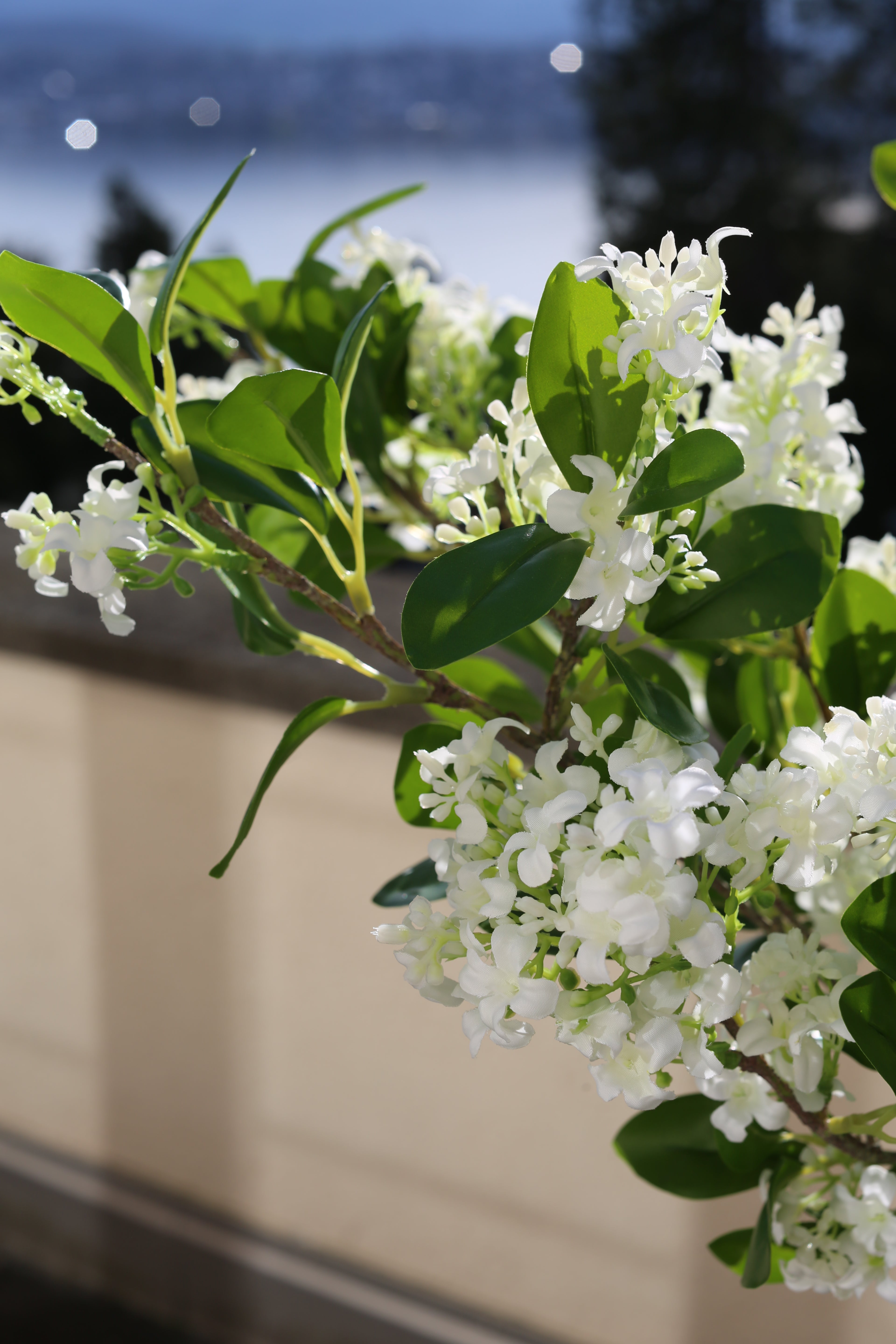 Lilas Blanc 6 Branches