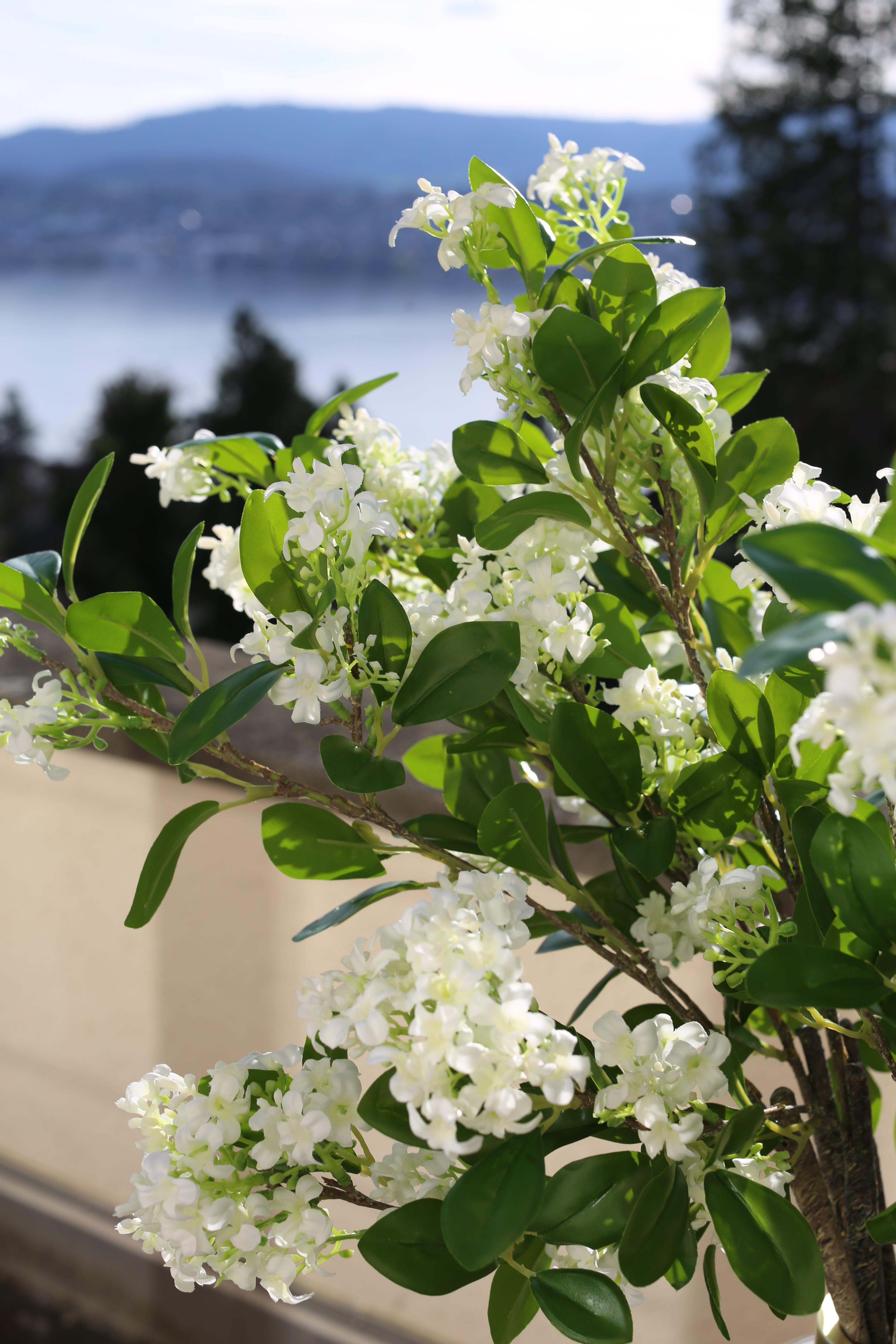 Lilas Blanc 9 Branches