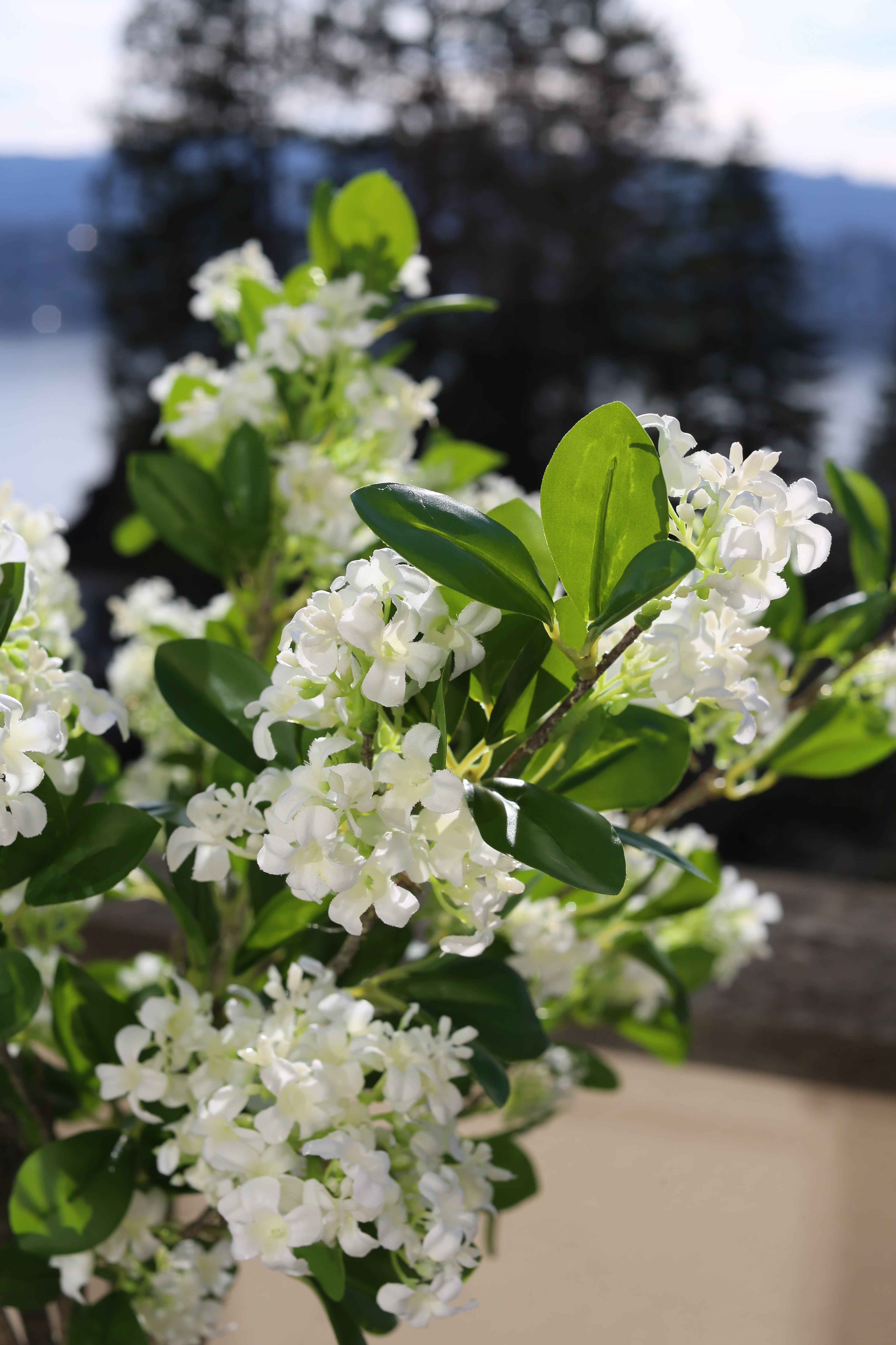 Lilas Blanc 9 Branches