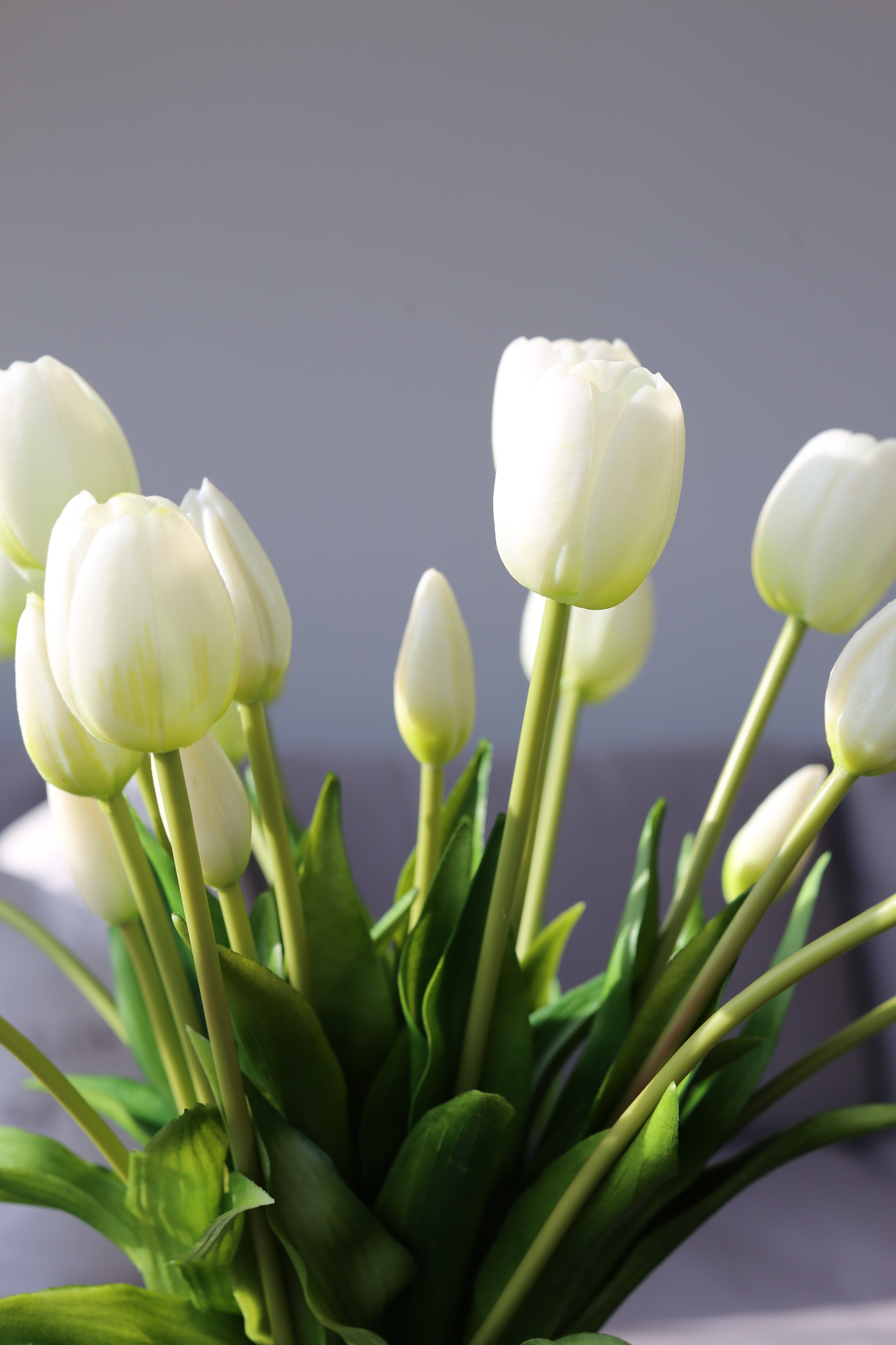 White Tulip Bouquet