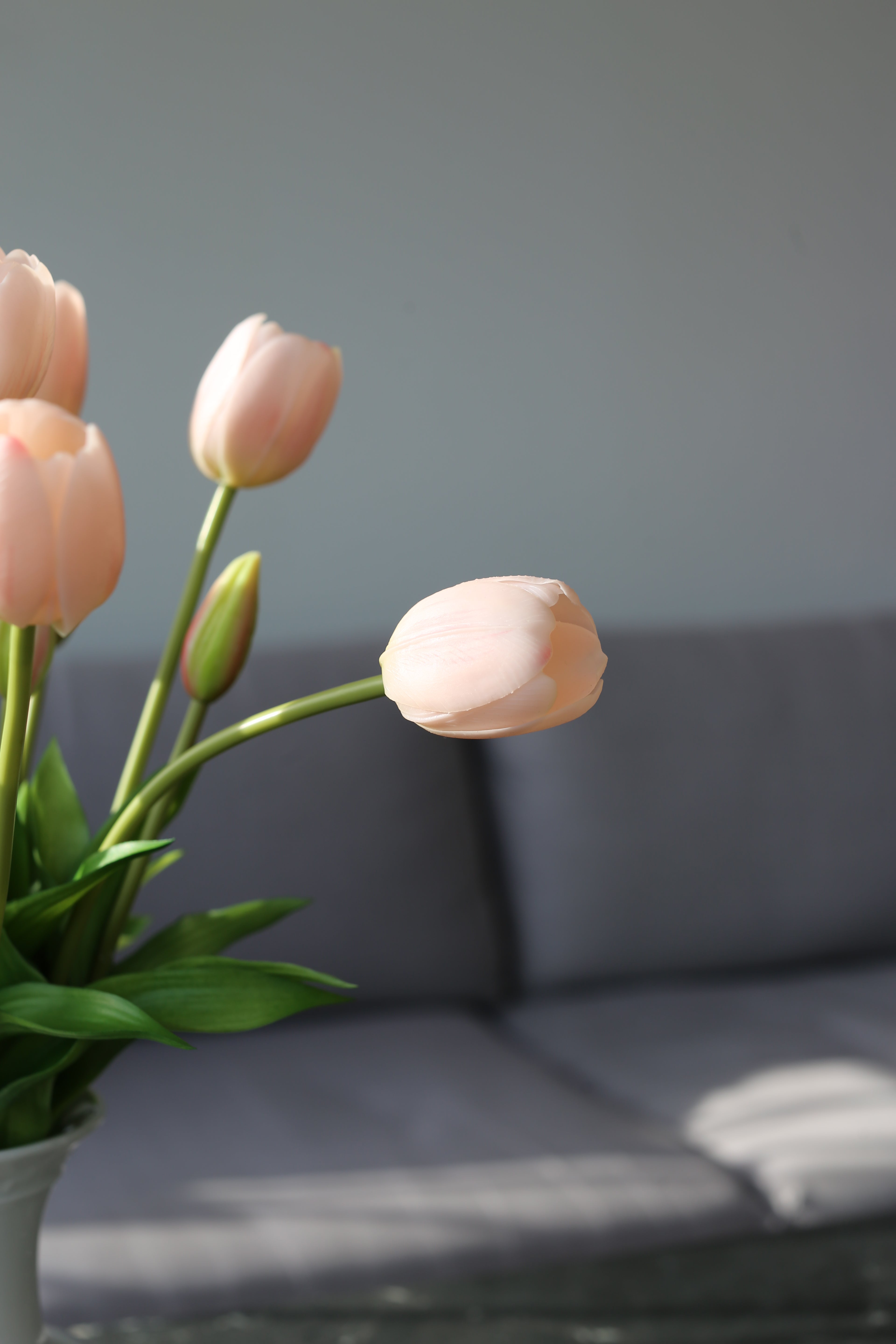 Light Pink Tulip Bouquet