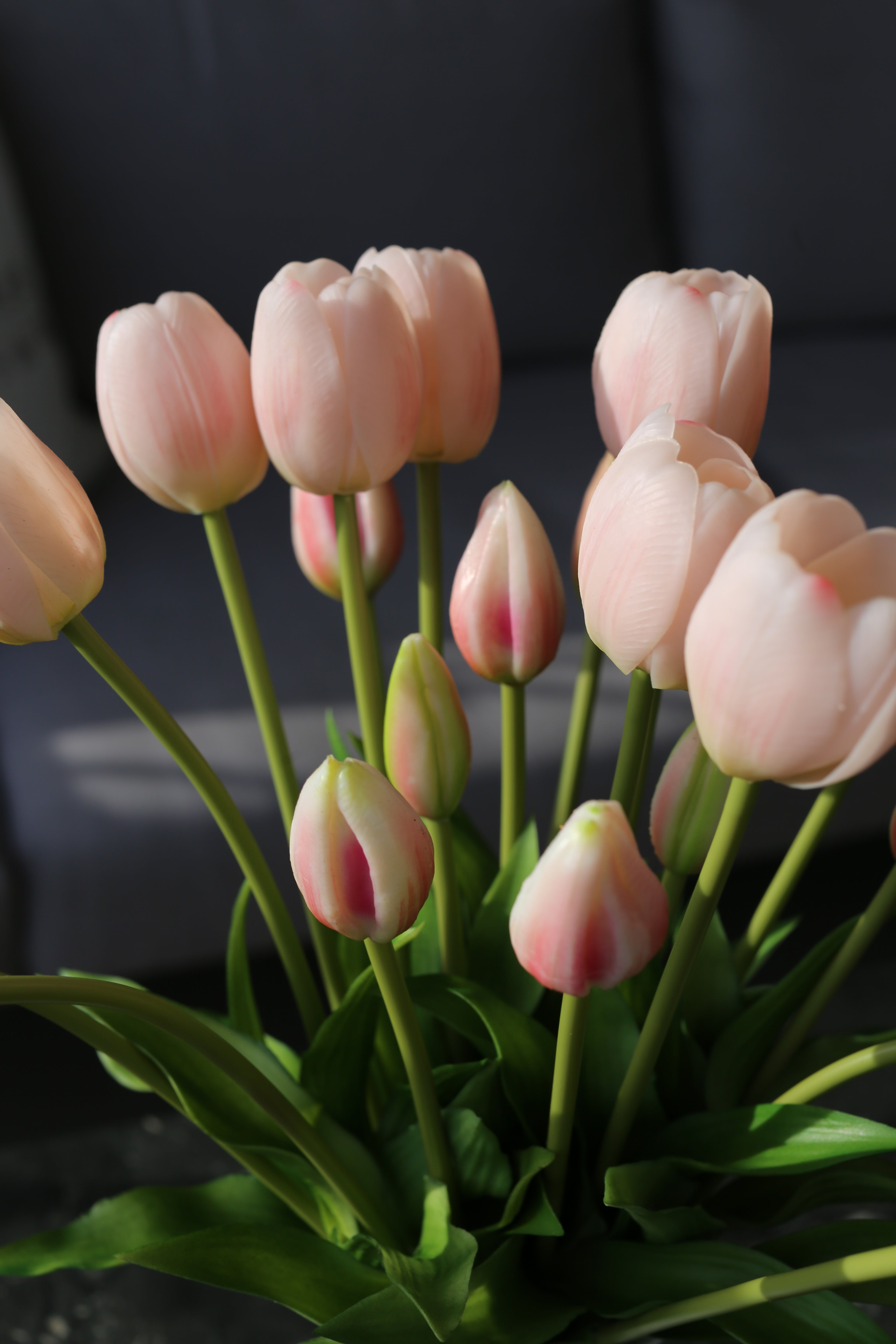 Light Pink Tulip Bouquet