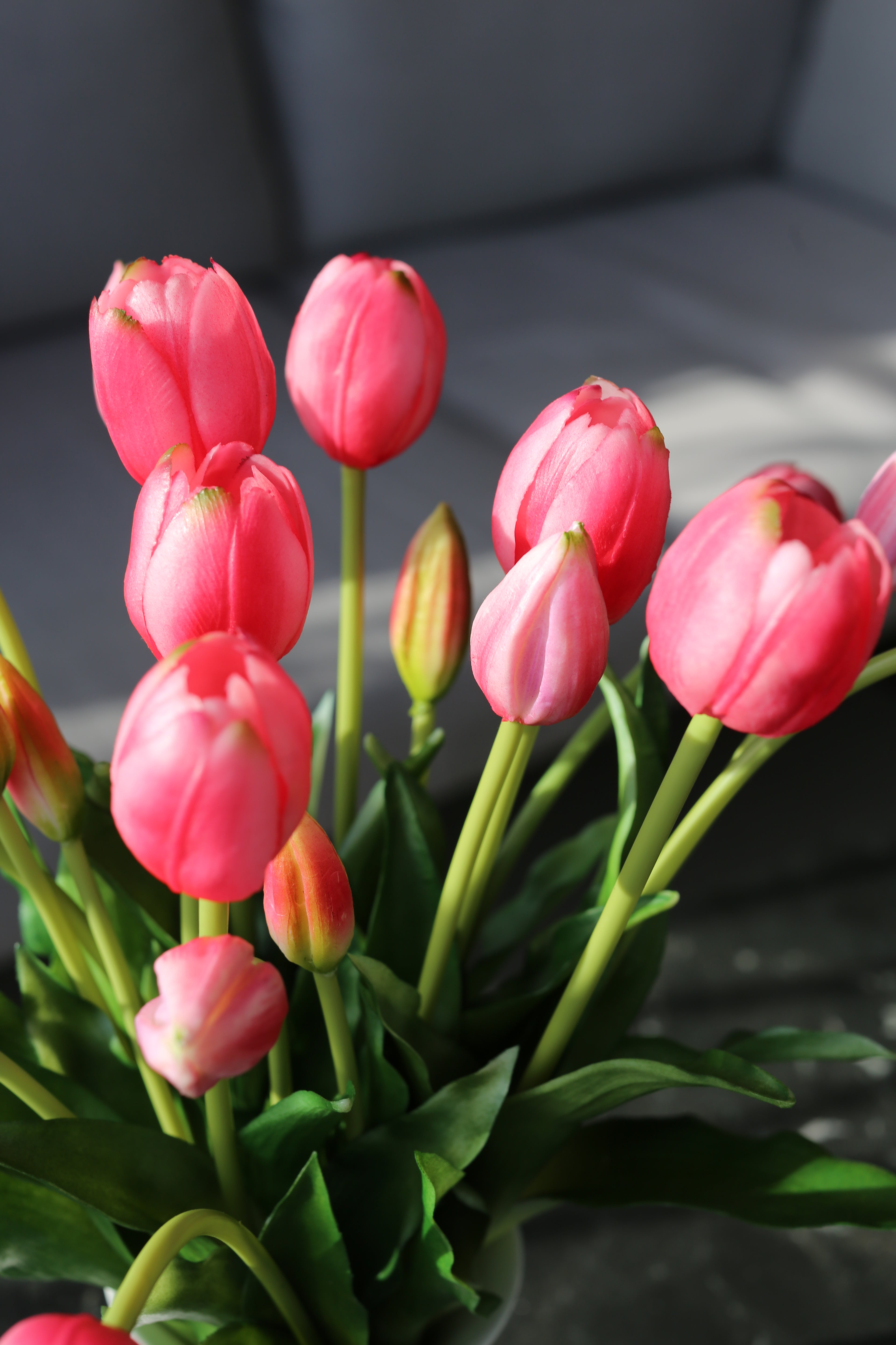 Bouquet de tulipes roses