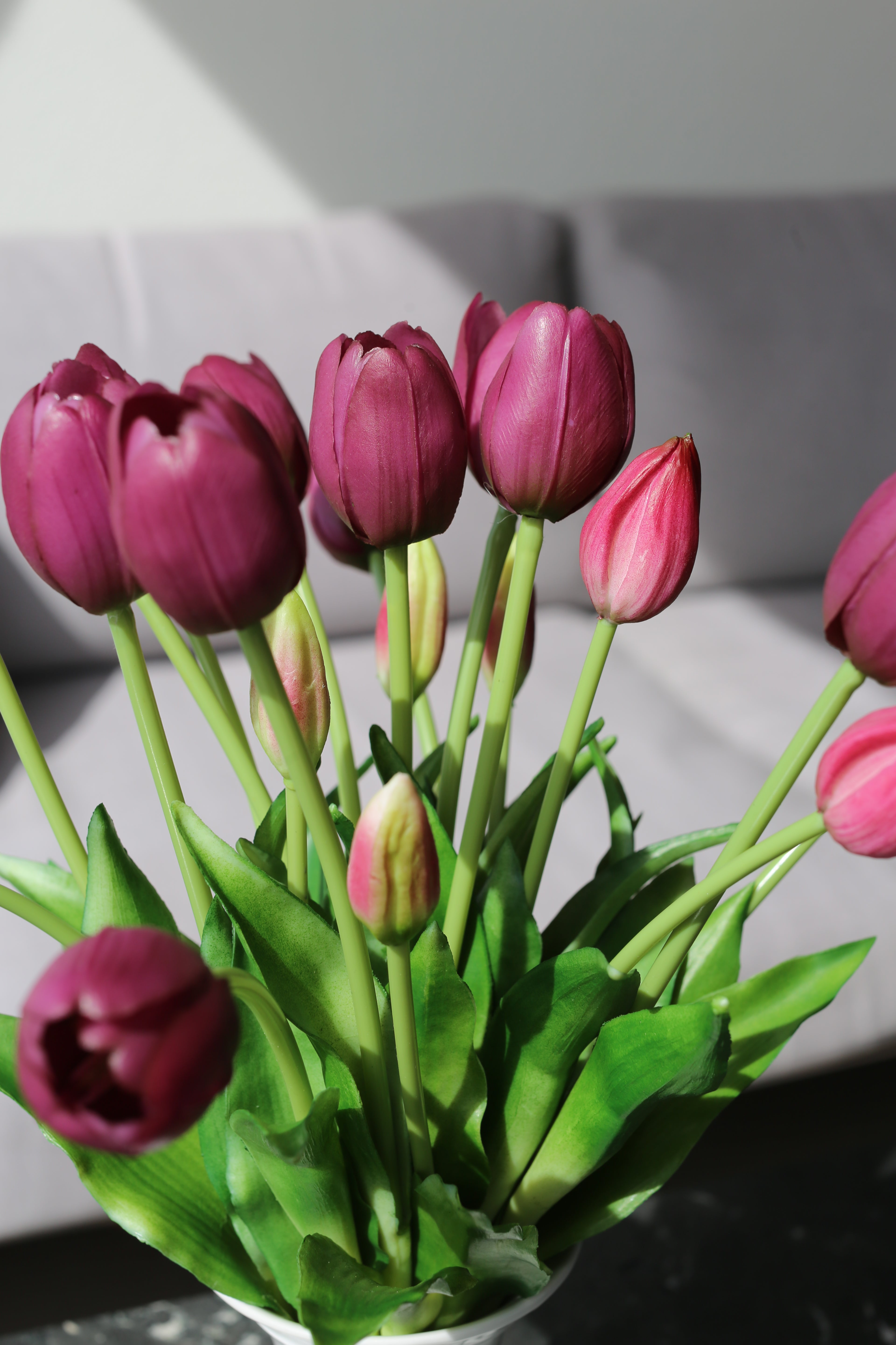 Bouquet de tulipes de Bourgogne