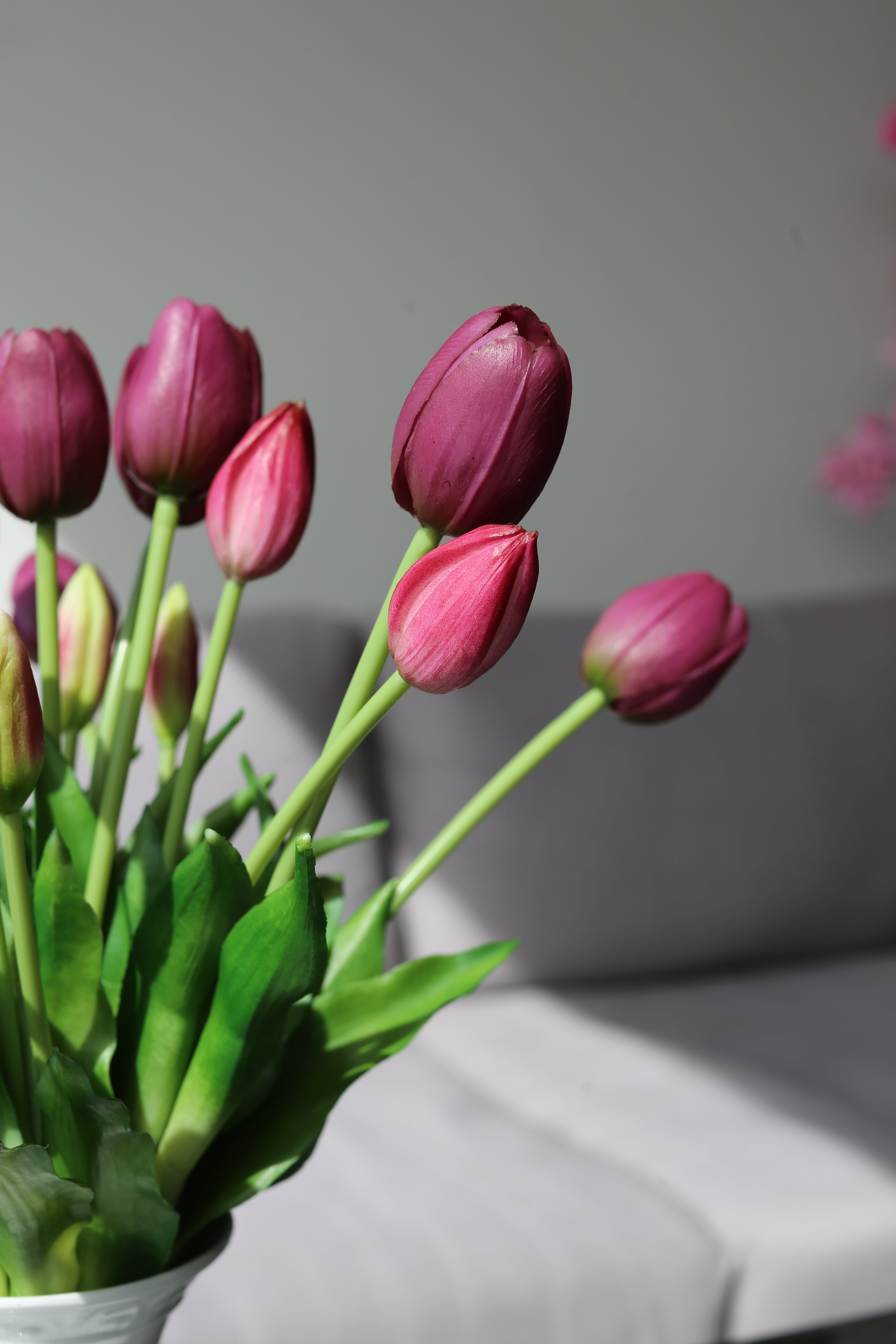 Burgundy Tulip Bouquet