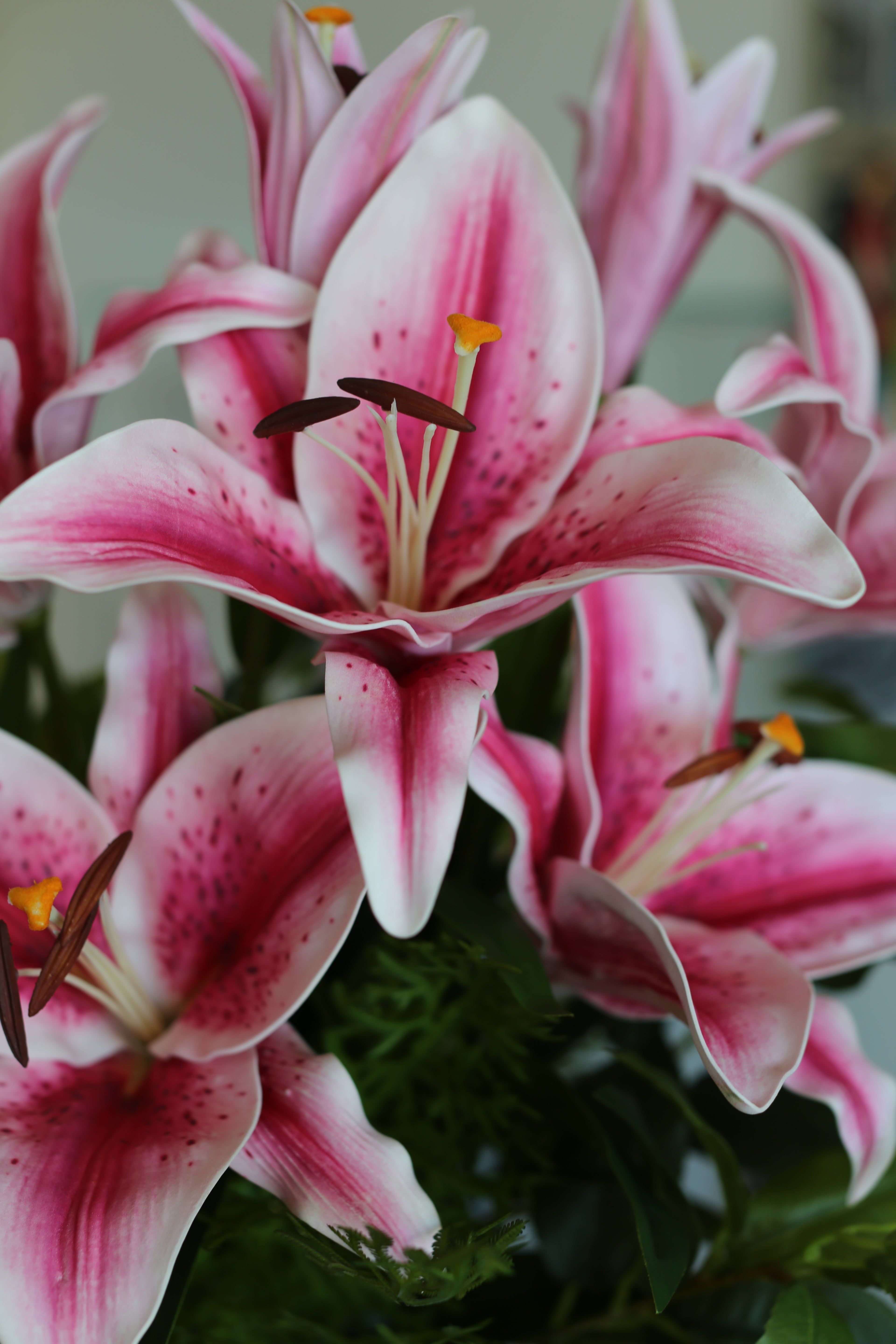 Bouquet De Lys Stargazer Rose