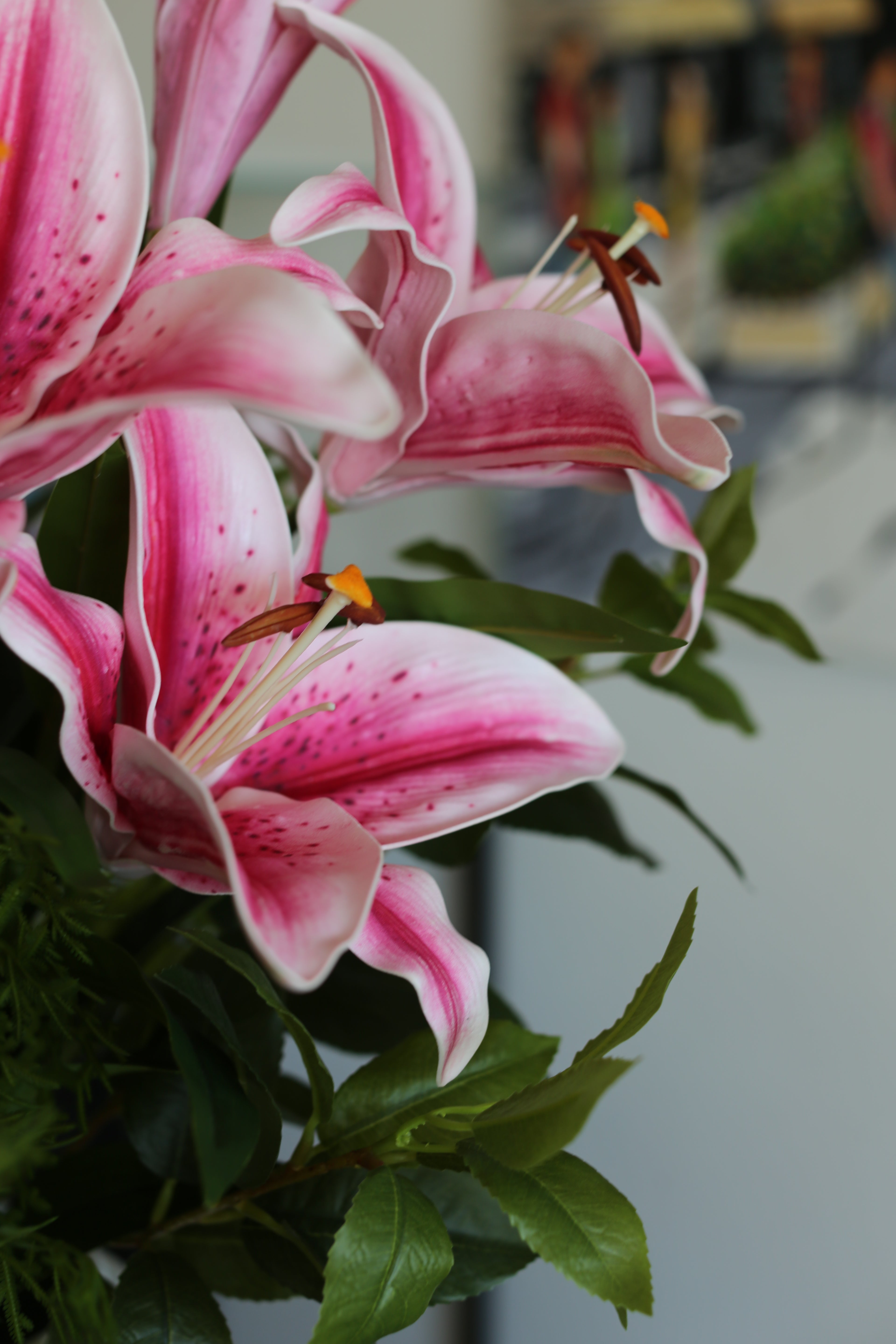 Pink Stargazer Lily Bouquet