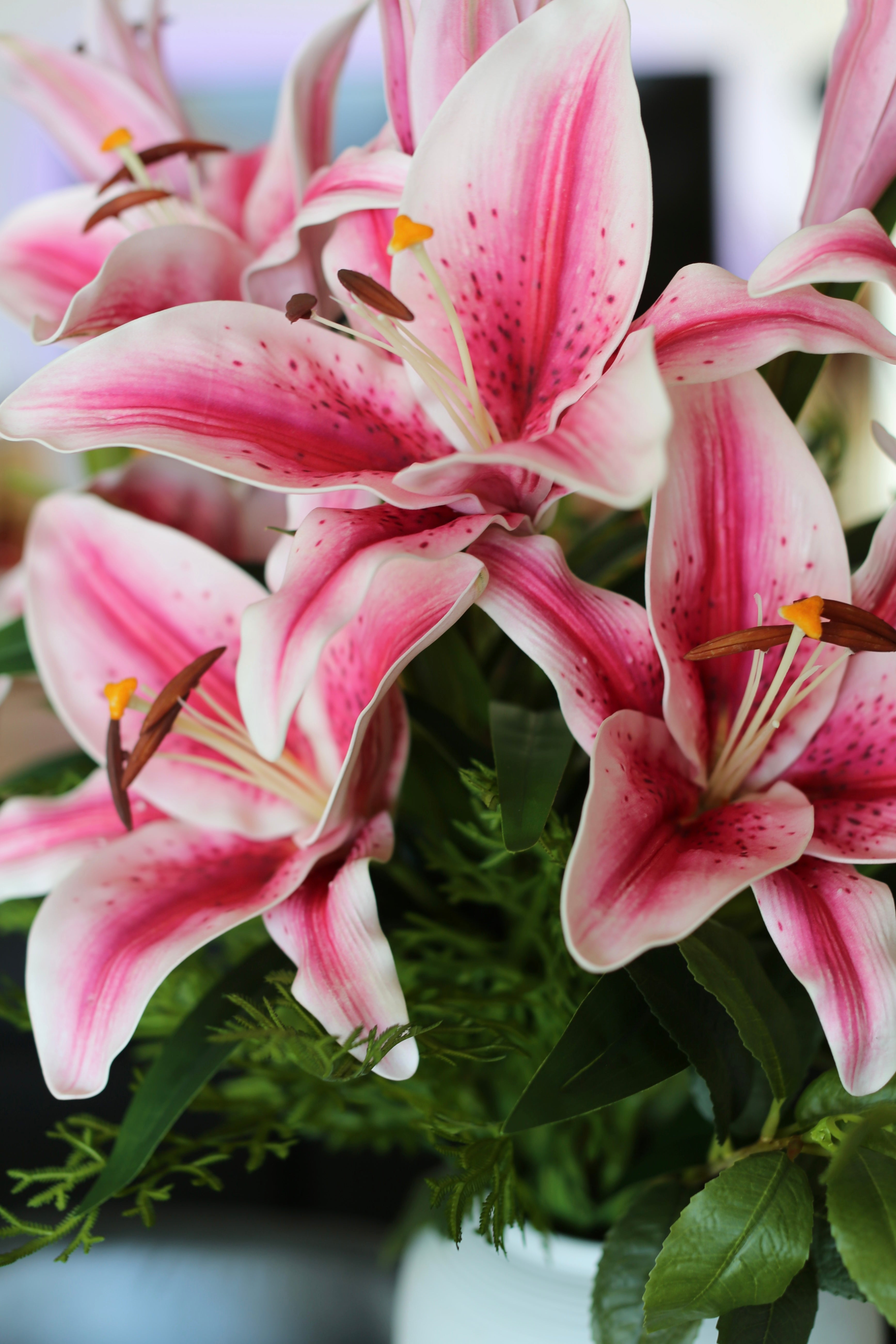 Bouquet De Lys Stargazer Rose