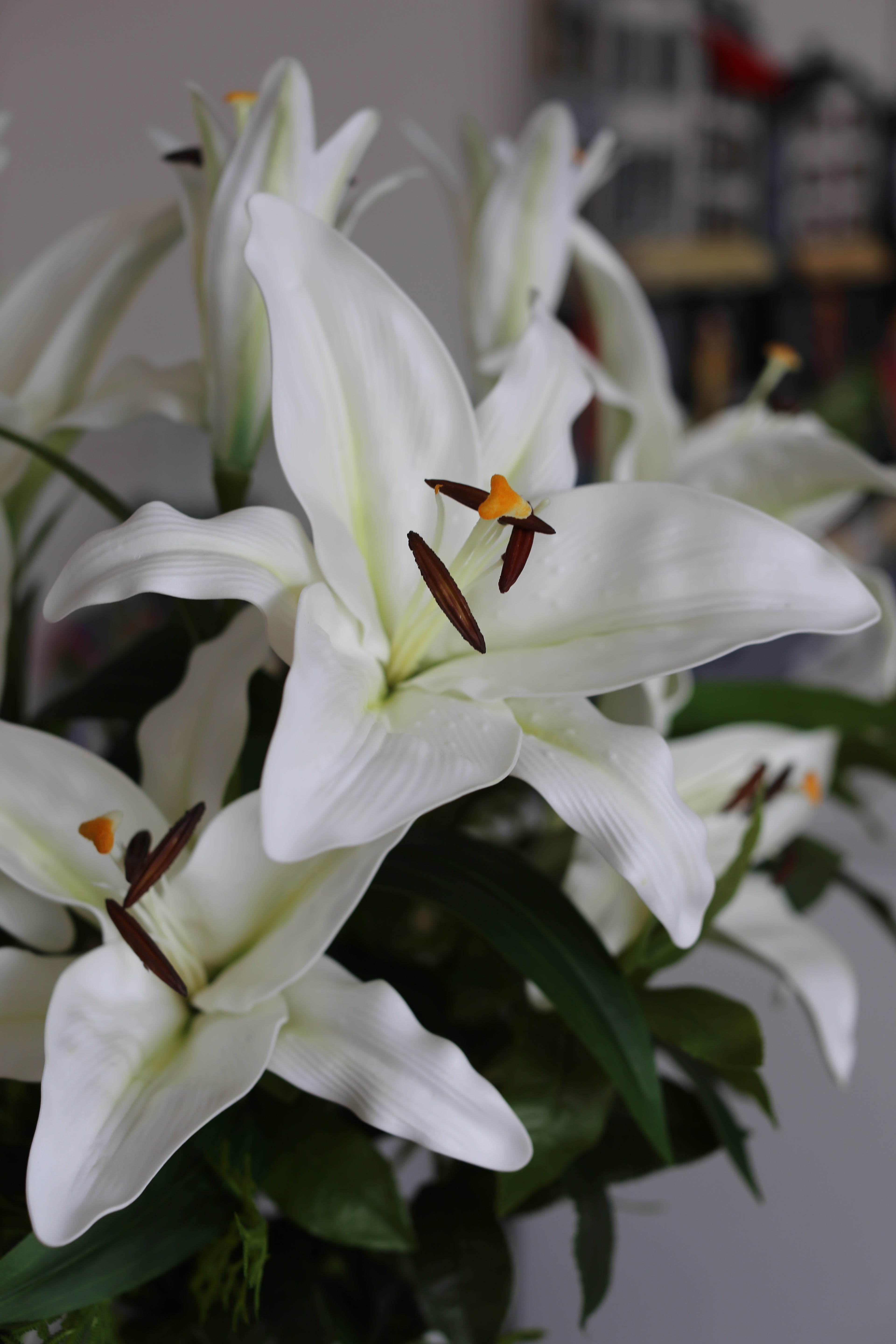 Bouquet de Lys Stargazer blanc