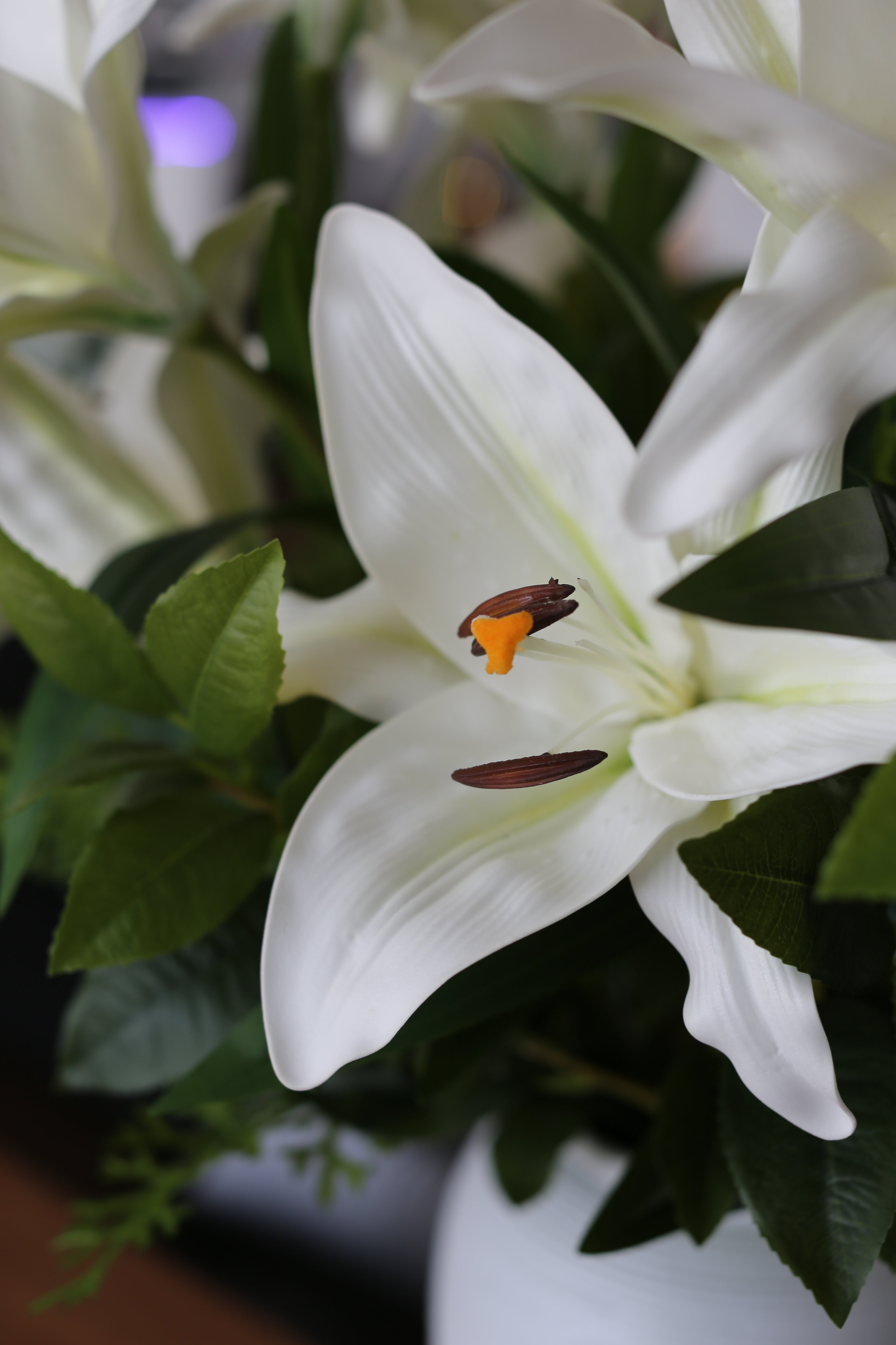 Bouquet de Lys Stargazer blanc