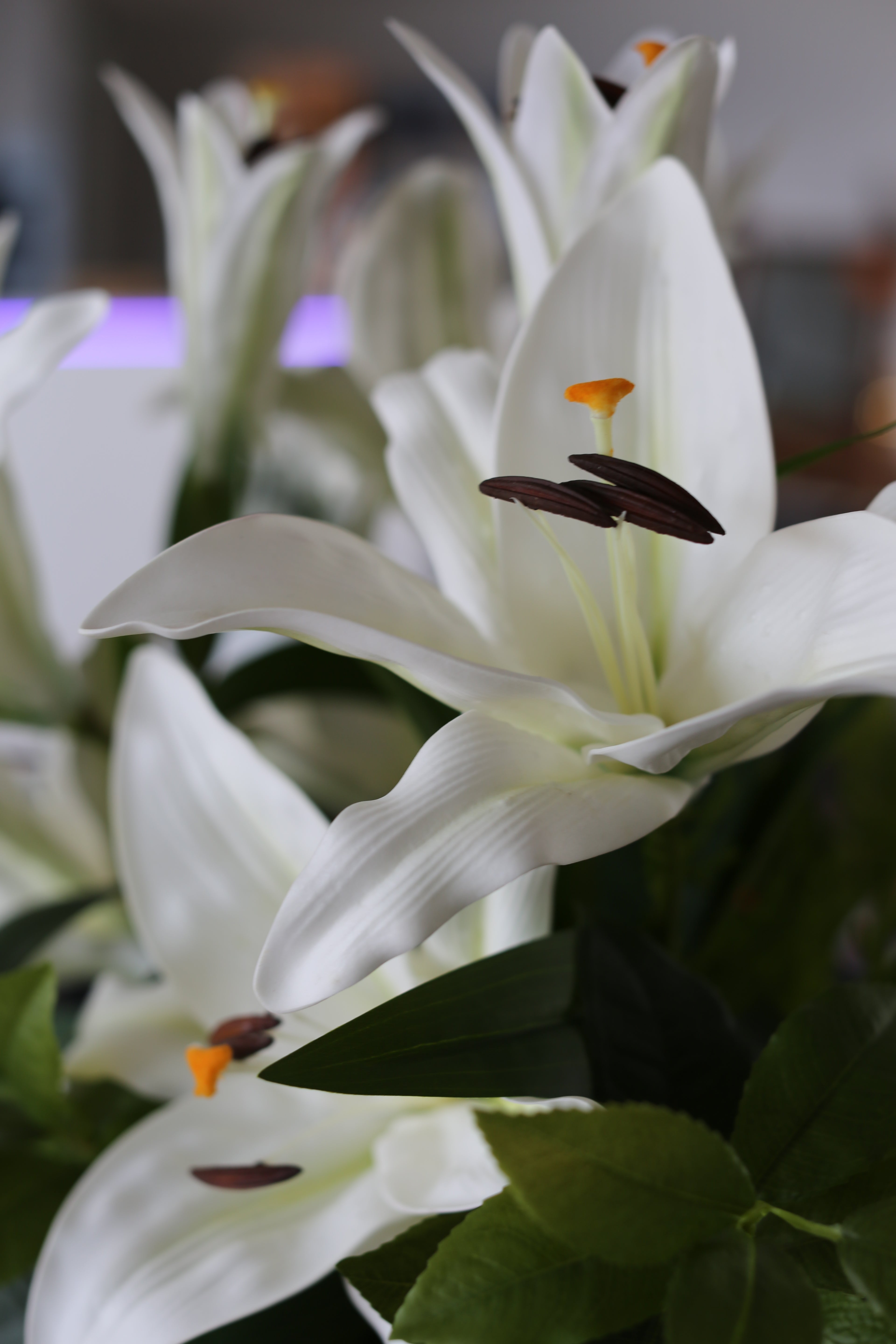 Bouquet de Lys Stargazer blanc