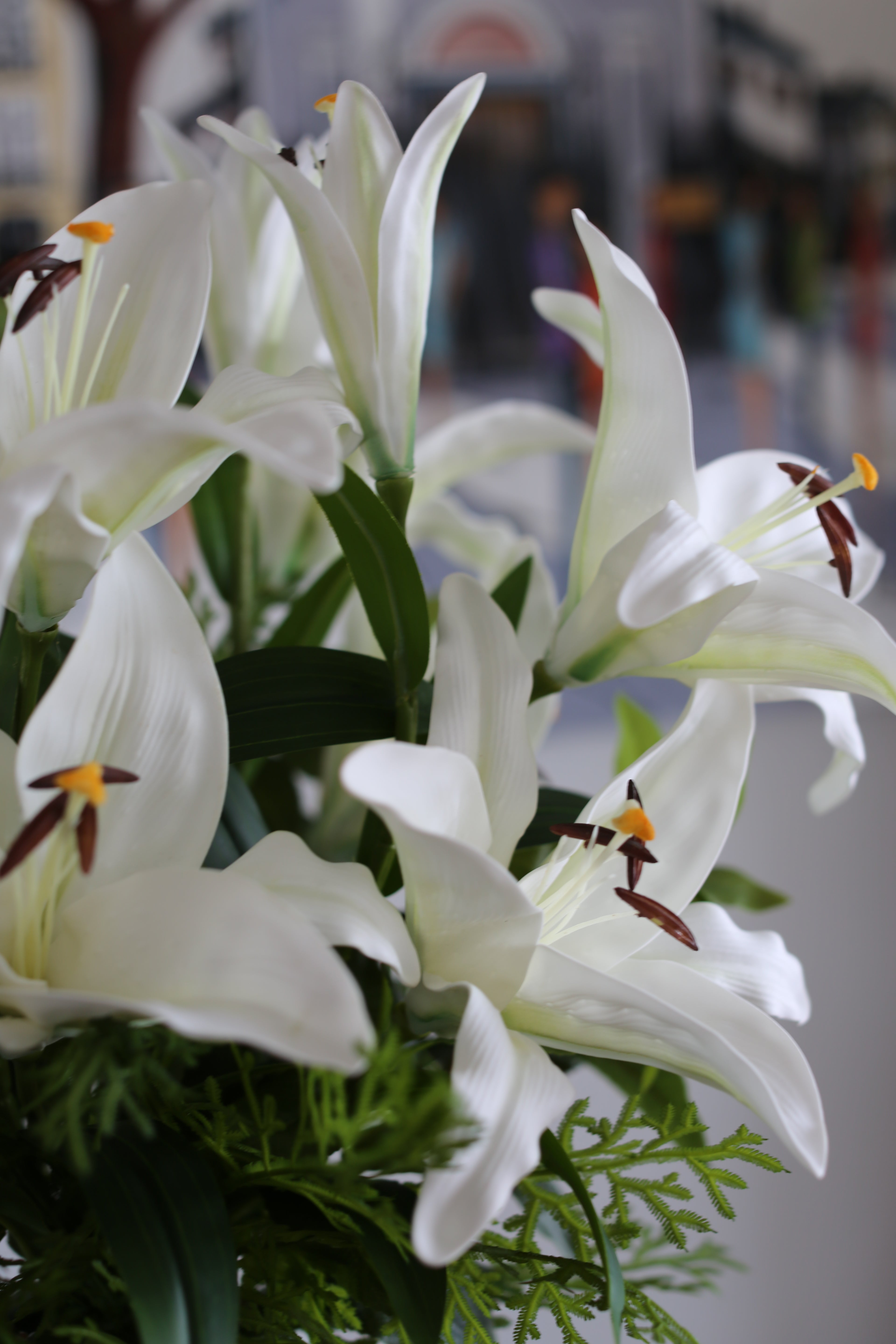 Bouquet de Lys Stargazer blanc