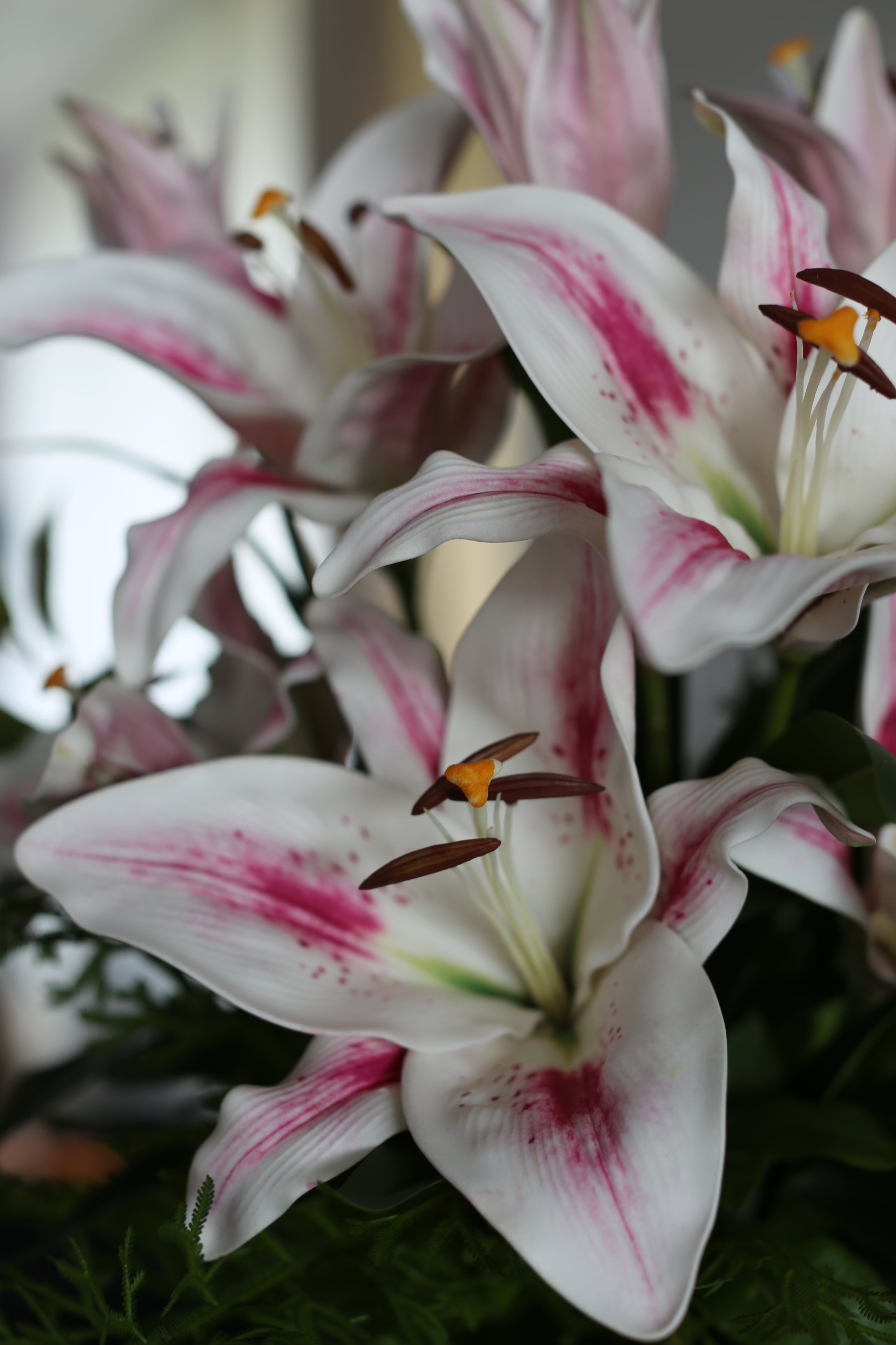 White & Pink Stargazer Lily Bouquet