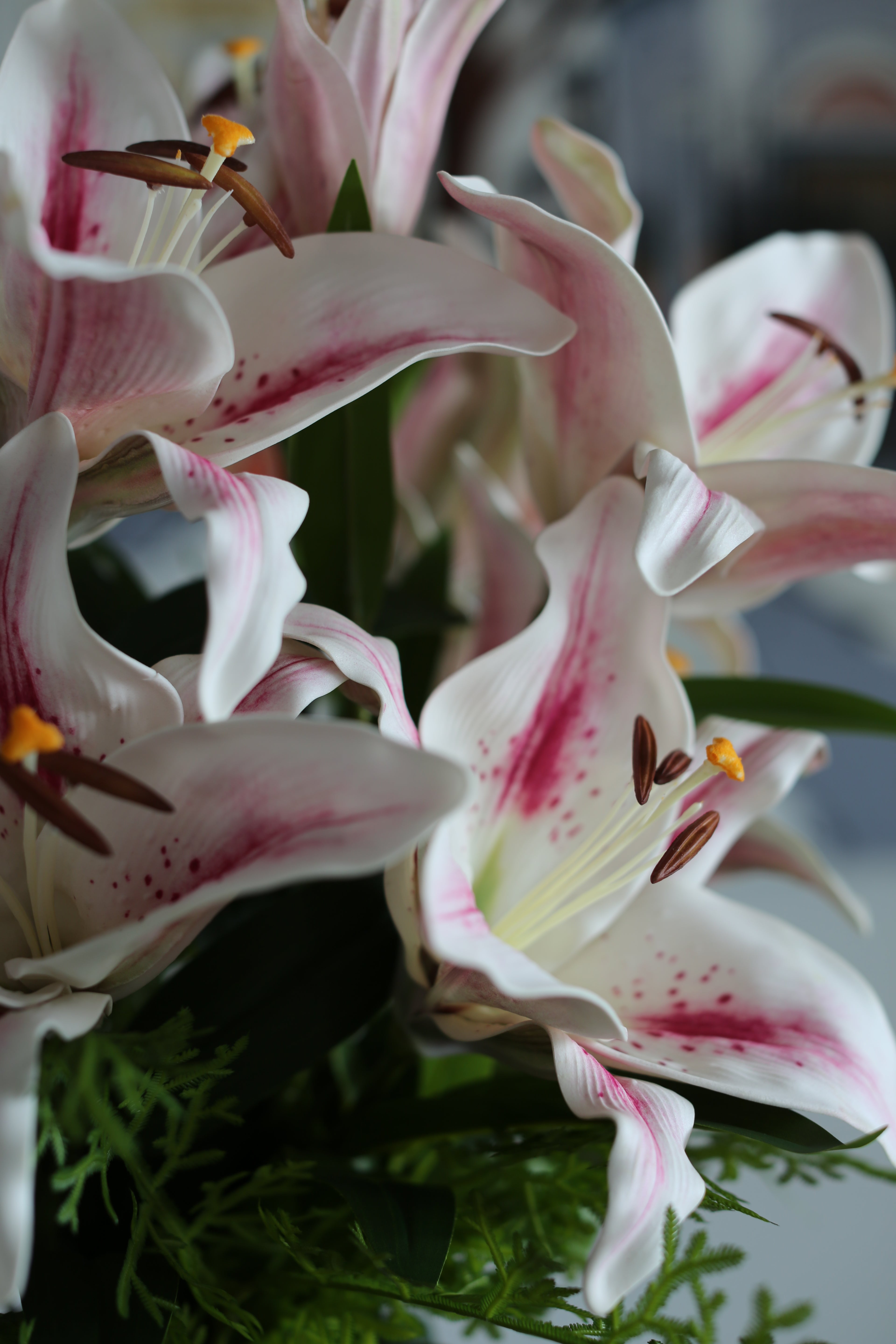 White & Pink Stargazer Lily Bouquet